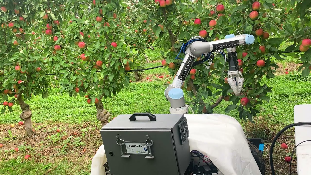 Ce Robot De Récolte De Pommes Cueille Un Fruit Toutes Les 7 Secondes